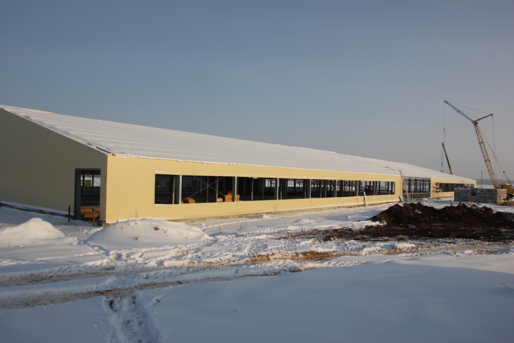 Молочно-товарная ферма 45х126х4,2 м